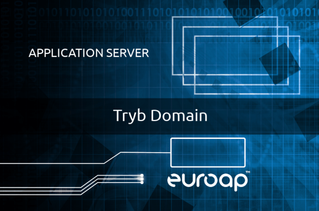Konfiguracja serwera aplikacji – tryb Domain